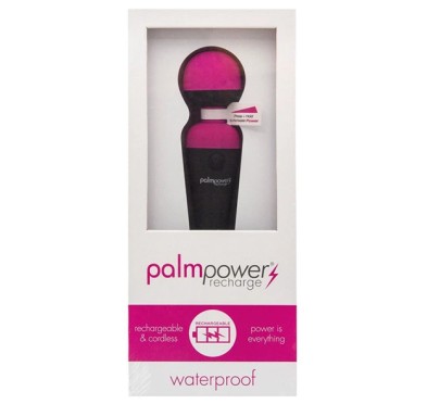 Masażer - PalmPower Recharge Wand Massager